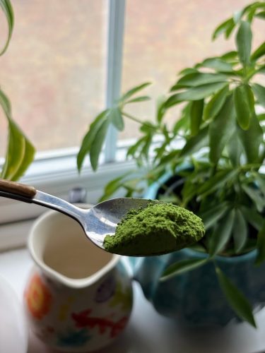 matcha-latte-powder